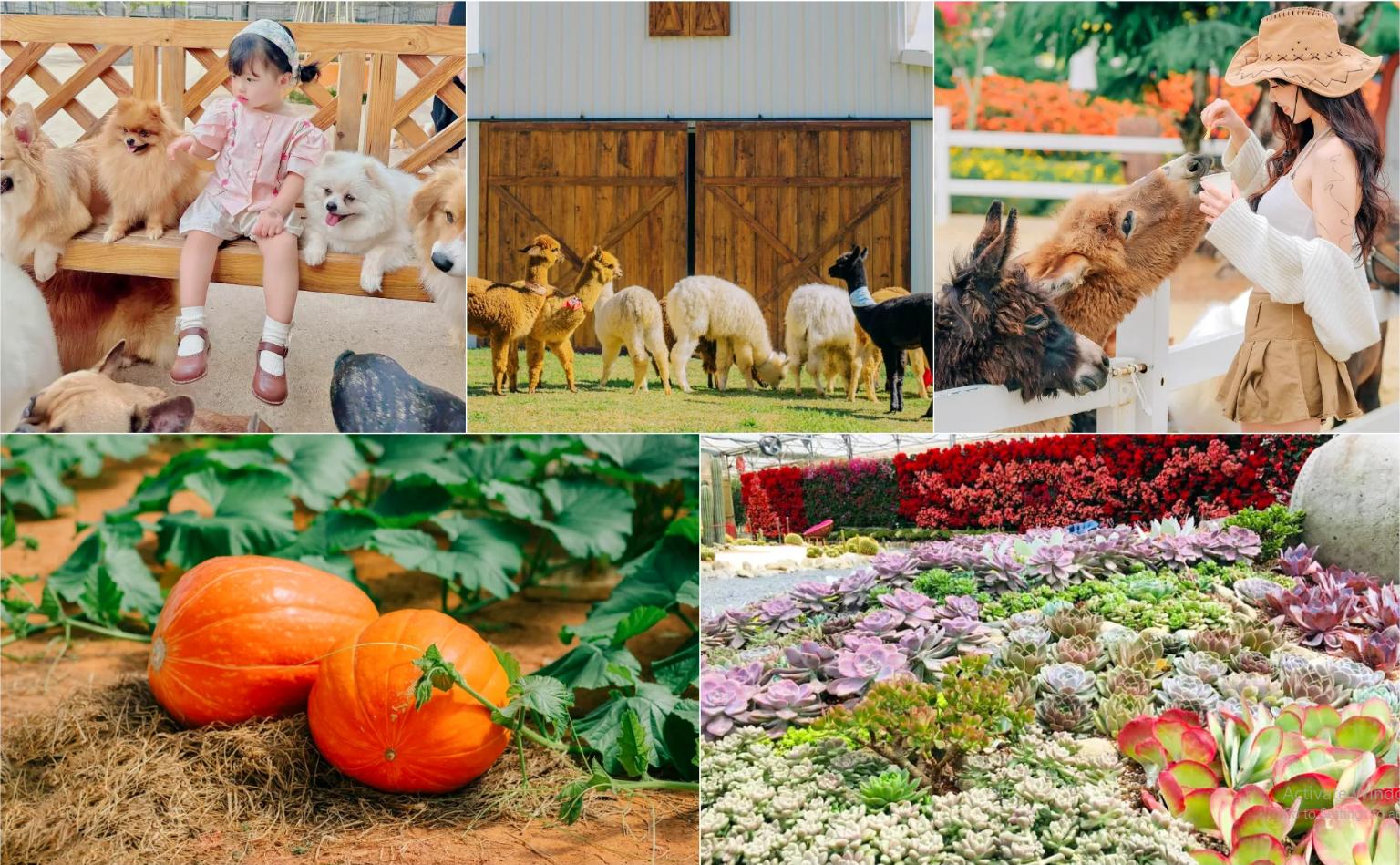 Tour Đà Lạt 2N2Đ, 3N3Đ Chất Lượng Cao Tour Đà Lạt 2N2Đ, 3N3Đ Chất Lượng Cao