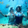 Tour nửa ngày: Hòn Mun - Làng Chài Tour nửa ngày: Hòn Mun - Làng Chài