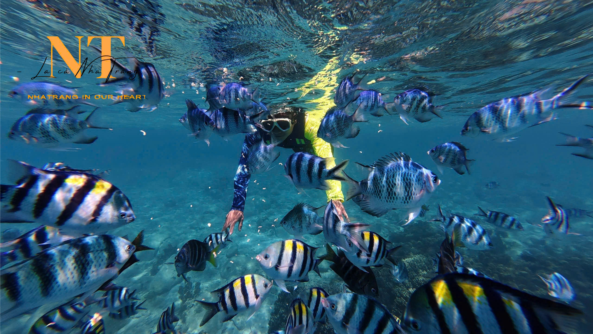TOUR HÒN MUN - LÀNG CHÀI - HÒN TẰM ( BIỂN A + B ) TOUR HÒN MUN - LÀNG CHÀI - HÒN TẰM ( BIỂN A + B )